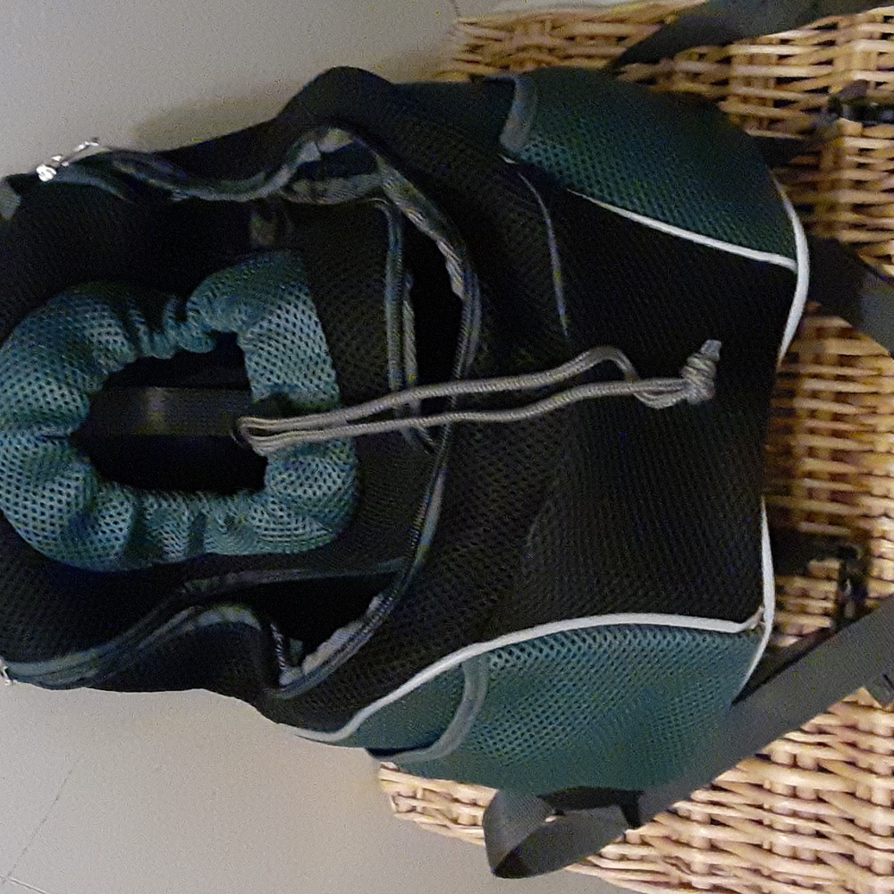 Small dog backpack very cute new there's a collar hook inside so they don't fall
